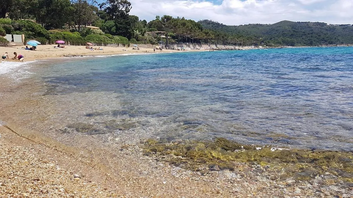 Villa Avec Piscine Proche Des Plages La Croix-Valmer Frankrike